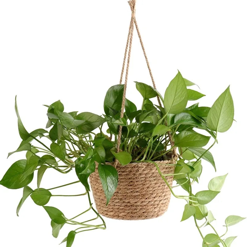 Cesta Suspensa de Juta para Plantas