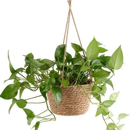 Cesta Suspensa de Juta para Plantas